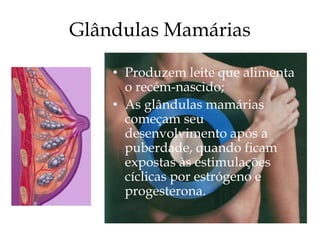 Glândulas Mamárias

    • Produzem leite que alimenta
      o recém-nascido;
    • As glândulas mamárias
      começam seu
      desenvolvimento após a
      puberdade, quando ficam
      expostas às estimulações
      cíclicas por estrógeno e
      progesterona.
 