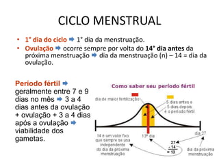 CICLO MENSTRUAL
• 1° dia do ciclo  1° dia da menstruação.
• Ovulação  ocorre sempre por volta do 14° dia antes da
  próxima menstruação  dia da menstruação (n) – 14 = dia da
  ovulação.

Período fértil 
geralmente entre 7 e 9
dias no mês  3 a 4
dias antes da ovulação
+ ovulação + 3 a 4 dias
após a ovulação 
viabilidade dos
gametas.
 