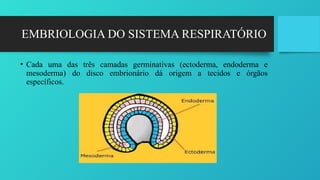 Endoderma Ne Rrenje AULASISTEMARESPIRATRIOok_20250505071648.pptx