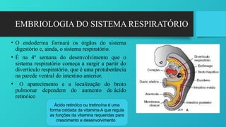Endoderma Ne Rrenje AULASISTEMARESPIRATRIOok_20250505071648.pptx