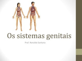 Os sistemas genitais
Prof. Ronaldo Santana
 