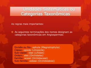 As regras mais importantes:
 As seguintes terminações dos nomes designam as
categorias taxonômicas em Angiospermas:
Divisão ou filo: ophyta (Magnoliophyta)
Classe: opsida (Liliopsida)
Sub-classe: idae (Liliidae)
Ordem: ales (Orchidales)
Família: aceae (Orchidaceae)
Sub-família: oideae (Orchidoideae)
 