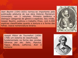 Jean Bauhin (1541-1631) tornou-se importante pela
publicação póstuma de sua obra Historia Plantarum
Universalis, em 3 volumes. Primeiro botânico a
distinguir categorias de gênero e espécies. Seu irmão,
Gaspar Bauhin, publicou o trabalho Pinax, com 6.000
espécies classificadas quanto a textura e a forma das
folhas. Usava nomenclatura binária.
Joseph Pitton de Tournefort (1656-
1708) um sistema de classificação
fundamentado na forma das corolas.
Gêneros por ele: Salix, Populus,
Fagus, Betula, Lathyrus, Acer e
Verbena
 