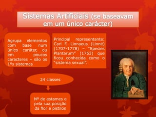 24 classes
Nº de estames e
pela sua posição
da flor e pistilos
Principal representante:
Carl F. Linnaeus (Linné)
(1707-1778) – “Species
Plantarum” (1753) que
ficou conhecida como o
“sistema sexual”.
Agrupa elementos
com base num
único caráter, ou
em poucos
caracteres – são os
1ºs sistemas
 