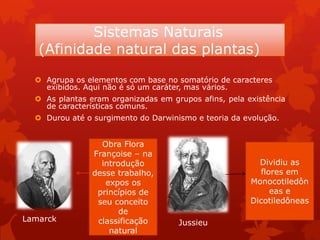 Sistemas Naturais
(Afinidade natural das plantas)
 Agrupa os elementos com base no somatório de caracteres
exibidos. Aqui não é só um caráter, mas vários.
 As plantas eram organizadas em grupos afins, pela existência
de características comuns.
 Durou até o surgimento do Darwinismo e teoria da evolução.
Lamarck Jussieu
Obra Flora
Françoise – na
introdução
desse trabalho,
expos os
princípios de
seu conceito
de
classificação
natural
Dividiu as
flores em
Monocotiledôn
eas e
Dicotiledôneas
 