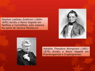 Stephan Ladislau Endlicher (1804-
1849) dividiu o Reino Vegetal em
Talófitos e Cormófitos, este sistema
faz parte de Genera Plantarum.
Adolphe Theodore Brongniart (1801-
1876) dividiu o Reino Vegetal em
Phanerogamae e Cryptogramae.
 