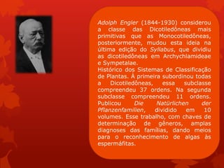 Adolph Engler (1844-1930) considerou
a classe das Dicotiledôneas mais
primitivas que as Monocotiledôneas,
posteriormente, mudou esta ideia na
última edição do Syllabus, que dividiu
as dicotiledôneas em Archychlamideae
e Sympetalae.
Histórico dos Sistemas de Classificação
de Plantas. À primeira subordinou todas
a Dicotiledôneas, essa subclasse
compreendeu 37 ordens. Na segunda
subclasse compreendeu 11 ordens.
Publicou Die Natürlichen der
Pflanzenfamilien, dividido em 10
volumes. Esse trabalho, com chaves de
determinação de gêneros, amplas
diagnoses das famílias, dando meios
para o reconhecimento de algas às
espermáfitas.
 