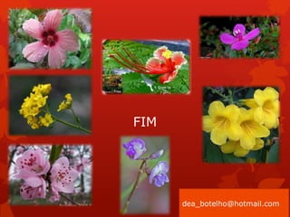 dea_botelho@hotmail.com
FIM
 