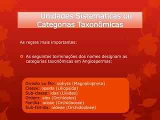 As regras mais importantes:
 As seguintes terminações dos nomes designam as
categorias taxonômicas em Angiospermas:
Divisão ou filo: ophyta (Magnoliophyta)
Classe: opsida (Liliopsida)
Sub-classe: idae (Liliidae)
Ordem: ales (Orchidales)
Família: aceae (Orchidaceae)
Sub-família: oideae (Orchidoideae)
 