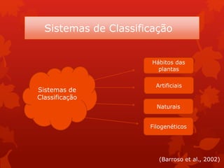 Sistemas de Classificação
Sistemas de
Classificação
Hábitos das
plantas
Artificiais
Naturais
Filogenéticos
(Barroso et al., 2002)
 