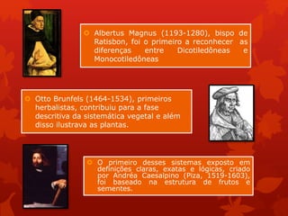  Albertus Magnus (1193-1280), bispo de
Ratisbon, foi o primeiro a reconhecer as
diferenças entre Dicotiledôneas e
Monocotiledôneas
 Otto Brunfels (1464-1534), primeiros
herbalistas, contribuiu para a fase
descritiva da sistemática vegetal e além
disso ilustrava as plantas.
 O primeiro desses sistemas exposto em
definições claras, exatas e lógicas, criado
por Andréa Caesalpino (Piza, 1519-1603),
foi baseado na estrutura de frutos e
sementes.
 