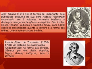 Jean Bauhin (1541-1631) tornou-se importante pela
publicação póstuma de sua obra Historia Plantarum
Universalis, em 3 volumes. Primeiro botânico a
distinguir categorias de gênero e espécies. Seu irmão,
Gaspar Bauhin, publicou o trabalho Pinax, com 6.000
espécies classificadas quanto a textura e a forma das
folhas. Usava nomenclatura binária.
Joseph Pitton de Tournefort (1656-
1708) um sistema de classificação
fundamentado na forma das corolas.
Gêneros por ele: Salix, Populus,
Fagus, Betula, Lathyrus, Acer e
Verbena
 