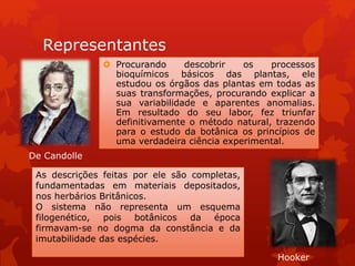 Representantes
 Procurando descobrir os processos
bioquímicos básicos das plantas, ele
estudou os órgãos das plantas em todas as
suas transformações, procurando explicar a
sua variabilidade e aparentes anomalias.
Em resultado do seu labor, fez triunfar
definitivamente o método natural, trazendo
para o estudo da botânica os princípios de
uma verdadeira ciência experimental.
Hooker
De Candolle
As descrições feitas por ele são completas,
fundamentadas em materiais depositados,
nos herbários Britânicos.
O sistema não representa um esquema
filogenético, pois botânicos da época
firmavam-se no dogma da constância e da
imutabilidade das espécies.
 