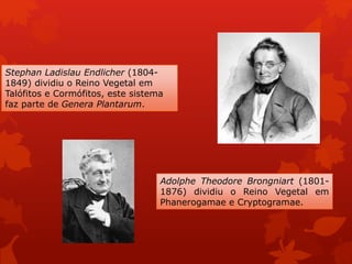 Stephan Ladislau Endlicher (1804-
1849) dividiu o Reino Vegetal em
Talófitos e Cormófitos, este sistema
faz parte de Genera Plantarum.
Adolphe Theodore Brongniart (1801-
1876) dividiu o Reino Vegetal em
Phanerogamae e Cryptogramae.
 