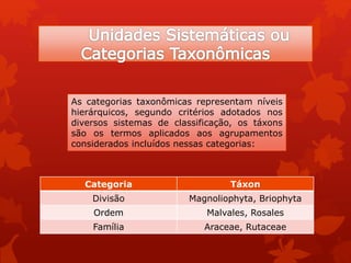 As categorias taxonômicas representam níveis
hierárquicos, segundo critérios adotados nos
diversos sistemas de classificação, os táxons
são os termos aplicados aos agrupamentos
considerados incluídos nessas categorias:
Categoria Táxon
Divisão Magnoliophyta, Briophyta
Ordem Malvales, Rosales
Família Araceae, Rutaceae
 