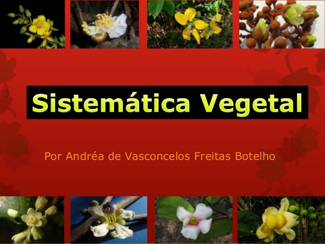 sistematica vegetal um enfoque filogenetico
