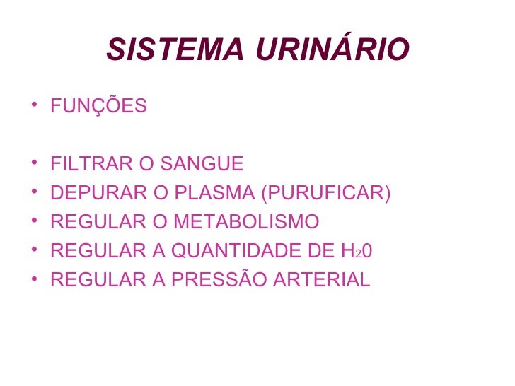 SISTEMA URINÁRIO <ul><li>FUNÇÕES </li></ul><ul><li>FILTRAR O SANGUE </li></ul><ul><li>DEPURAR O PLASMA (PURUFICAR) </li></...