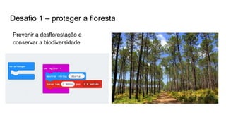 Desafio 1 – proteger a floresta
Prevenir a desflorestação e
conservar a biodiversidade.
 