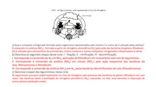 a) Qual o composto nitrogenado formado pelos organismos representados pelo número 1 e como ele é utilizado pelas plantas?
O composto é a amônia (NH3) , formada a partir do nitrogênio atmosférico (N2) pela ação das bactérias do gênero Rhizobium .
Ela é utilizada para a biossíntese de aminoácidos, ácidos nucleicos e outros compostos nitrogenados indispensáveis à célula.
b) Descreva as seguintes etapas desse ciclo: I - fixação; II - nitrificação; III - desnitrificação.
I. Corresponde à conversão do N2 em NH3, pela ação de Rhizobium em mutualismo com raiz de leguminosa.
II. Corresponde à conversão da amônia (NH3) em nitrato (NO3
-) pela ação sequencial das bactérias do
solo, Nitrosomonas e Nitrobacter.
III. Corresponde à conversão de amônia (NH3) em N2, pelas bactérias desnitrificantes do solo (Pseudomonas).
c) Descreva o papel das leguminosas nesse ciclo.
As leguminosas possuem papel importante no ciclo do nitrogênio pela presença das bactérias do gênero Rhizobium em suas
raízes. Tais bactérias fazem a biofixação do nitrogênio atmosférico (N2), colocando, no solo, esse elemento à disposição de
outras plantas (adubação verde).
 
