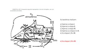 As bactérias realizam:
a) Apenas a etapa I.
b) Apenas a etapa II.
c) Apenas a etapa III.
d) Apenas as etapas I e II.
e) As etapas I, II e III.
e) As etapas I, II e III.
 