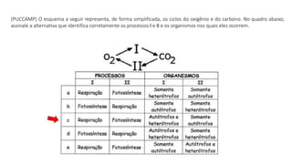 (PUCCAMP) O esquema a seguir representa, de forma simplificada, os ciclos do oxigênio e do carbono. No quadro abaixo,
assinale a alternativa que identifica corretamente os processos I e II e os organismos nos quais eles ocorrem.
 