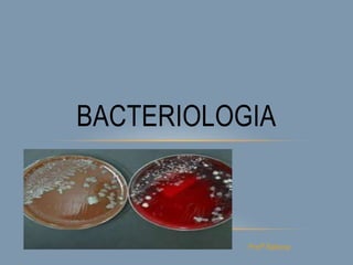 Profª Betione
BACTERIOLOGIA
 