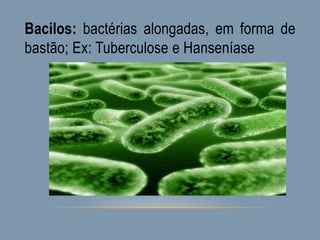 Bacilos: bactérias alongadas, em forma de
bastão; Ex: Tuberculose e Hanseníase
 