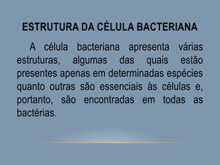 ESTRUTURA DA CÉLULA BACTERIANA
A célula bacteriana apresenta várias
estruturas, algumas das quais estão
presentes apenas em determinadas espécies
quanto outras são essenciais às células e,
portanto, são encontradas em todas as
bactérias.
 