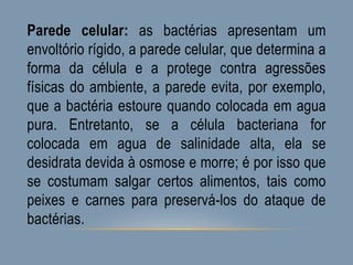 Parede celular: as bactérias apresentam um
envoltório rígido, a parede celular, que determina a
forma da célula e a protege contra agressões
físicas do ambiente, a parede evita, por exemplo,
que a bactéria estoure quando colocada em agua
pura. Entretanto, se a célula bacteriana for
colocada em agua de salinidade alta, ela se
desidrata devida à osmose e morre; é por isso que
se costumam salgar certos alimentos, tais como
peixes e carnes para preservá-los do ataque de
bactérias.
 