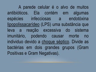 A parede celular é o alvo de muitos
antibióticos. Ela contém em algumas
espécies infecciosas a endotóxina
lipopolissacarídeo (LPS) uma substância que
leva a reação excessiva do sistema
imunitário, podendo causar morte no
individuo devido a choque séptico. Divide as
bactérias em dois grandes grupos (Gram
Positivas e Gram Negativas).
 