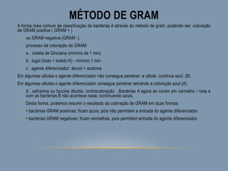 MÉTODO DE GRAM
A forma mais comum de classificação de bactérias é através do método de gram, podendo ser: coloração
de GRAM positiva ( GRAM + )
• ou GRAM negativa (GRAM -).
• processo da coloração de GRAM:
• a . violeta de Ginciana (mínimo de 1 min)
• b . lugol (Iodo + Iodeto K) - mínimo 1 min
• c . agente diferenciador: álcool + acetona
Em algumas células o agente diferenciador não consegue penetrar: a célula continua azul. (B)
Em algumas células o agente diferenciador consegue penetrar retirando a coloração azul.(A)
• d . safranina ou fuccina diluída: contracoloração . Bactérias A agora se coram em vermelho / rosa e
com as bactérias B não acontece nada, continuando azuis.
• Desta forma, podemos resumir o resultado da coloração de GRAM em duas formas:
• • bactérias GRAM positivas: ficam azuis, pois não permitem a entrada do agente diferenciador.
• • bactérias GRAM negativas: ficam vermelhas, pois permitem entrada do agente diferenciador.
 
