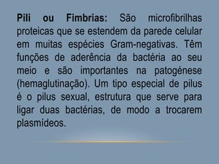 Pili ou Fimbrias: São microfibrilhas
proteicas que se estendem da parede celular
em muitas espécies Gram-negativas. Têm
funções de aderência da bactéria ao seu
meio e são importantes na patogénese
(hemaglutinação). Um tipo especial de pilus
é o pilus sexual, estrutura que serve para
ligar duas bactérias, de modo a trocarem
plasmídeos.
 