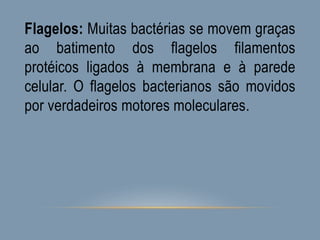 Flagelos: Muitas bactérias se movem graças
ao batimento dos flagelos filamentos
protéicos ligados à membrana e à parede
celular. O flagelos bacterianos são movidos
por verdadeiros motores moleculares.
 