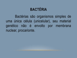 BACTÉRIA
Bactérias são organismos simples de
uma única célula (unicelular), seu material
genético não é envolto por membrana
nuclear, procarionte.
 