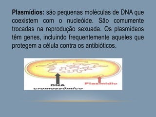 Plasmídios: são pequenas moléculas de DNA que
coexistem com o nucleóide. São comumente
trocadas na reprodução sexuada. Os plasmídeos
têm genes, incluindo frequentemente aqueles que
protegem a célula contra os antibióticos.
 