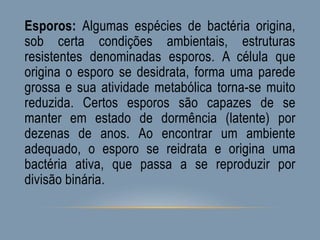 Esporos: Algumas espécies de bactéria origina,
sob certa condições ambientais, estruturas
resistentes denominadas esporos. A célula que
origina o esporo se desidrata, forma uma parede
grossa e sua atividade metabólica torna-se muito
reduzida. Certos esporos são capazes de se
manter em estado de dormência (latente) por
dezenas de anos. Ao encontrar um ambiente
adequado, o esporo se reidrata e origina uma
bactéria ativa, que passa a se reproduzir por
divisão binária.
 