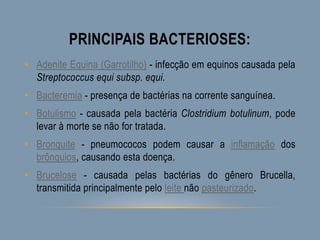 PRINCIPAIS BACTERIOSES:
• Adenite Equina (Garrotilho) - infecção em equinos causada pela
Streptococcus equi subsp. equi.
• Bacteremia - presença de bactérias na corrente sanguínea.
• Botulismo - causada pela bactéria Clostridium botulinum, pode
levar à morte se não for tratada.
• Bronquite - pneumococos podem causar a inflamação dos
brônquios, causando esta doença.
• Brucelose - causada pelas bactérias do gênero Brucella,
transmitida principalmente pelo leite não pasteurizado.
 