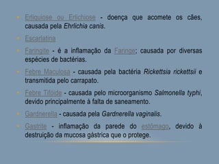 • Erliquiose ou Erlichiose - doença que acomete os cães,
causada pela Ehrlichia canis.
• Escarlatina
• Faringite - é a inflamação da Faringe; causada por diversas
espécies de bactérias.
• Febre Maculosa - causada pela bactéria Rickettsia rickettsii e
transmitida pelo carrapato.
• Febre Tifóide - causada pelo microorganismo Salmonella typhi,
devido principalmente à falta de saneamento.
• Gardnerella - causada pela Gardnerella vaginalis.
• Gastrite - inflamação da parede do estômago, devido à
destruição da mucosa gástrica que o protege.
 