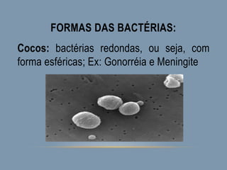 FORMAS DAS BACTÉRIAS:
Cocos: bactérias redondas, ou seja, com
forma esféricas; Ex: Gonorréia e Meningite
 