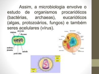 Assim, a microbiologia envolve o
estudo de organismos procarióticos
(bactérias, archaeas), eucarióticos
(algas, protozoários, fungos) e também
seres acelulares (vírus).
 