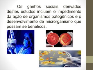 Os ganhos sociais derivados
destes estudos incluem o impedimento
da ação de organismos patogênicos e o
desenvolvimento de microrganismo que
possam se benéficos.
 