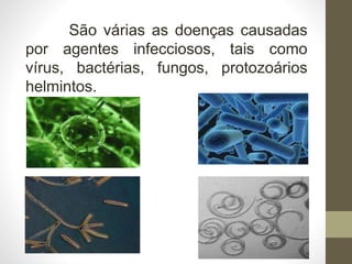 São várias as doenças causadas
por agentes infecciosos, tais como
vírus, bactérias, fungos, protozoários
helmintos.
 