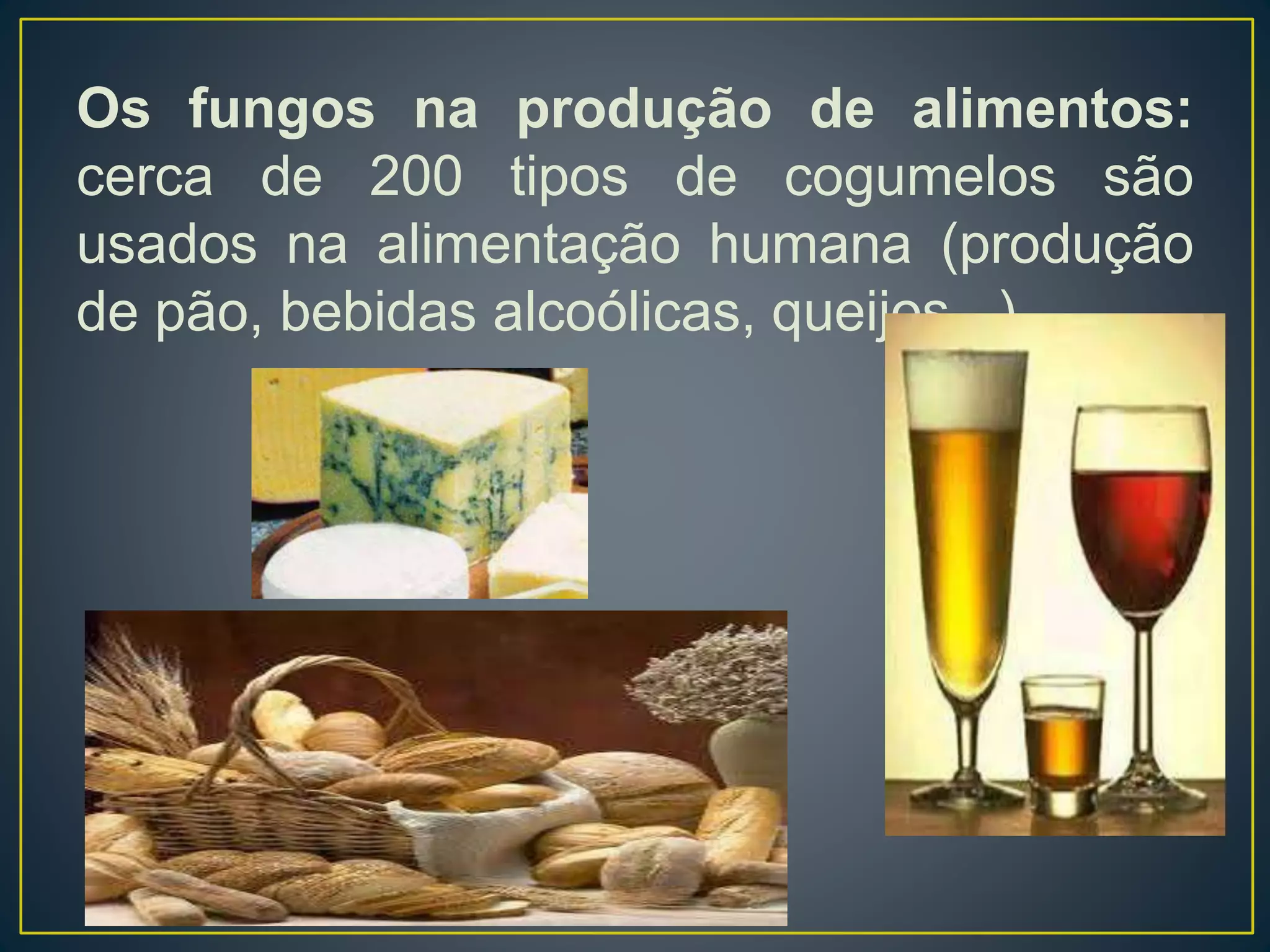 Os fungos na produção de alimentos:
cerca de 200 tipos de cogumelos são
usados na alimentação humana (produção
de pão, bebidas alcoólicas, queijos...)
 