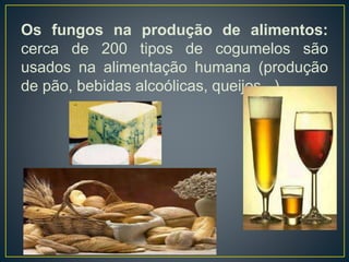Os fungos na produção de alimentos:
cerca de 200 tipos de cogumelos são
usados na alimentação humana (produção
de pão, bebidas alcoólicas, queijos...)
 