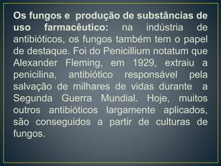 Os fungos e produção de substâncias de
uso farmacêutico: na indústria de
antibióticos, os fungos também tem o papel
de destaque. Foi do Penicillium notatum que
Alexander Fleming, em 1929, extraiu a
penicilina, antibiótico responsável pela
salvação de milhares de vidas durante a
Segunda Guerra Mundial. Hoje, muitos
outros antibióticos largamente aplicados,
são conseguidos a partir de culturas de
fungos.
 