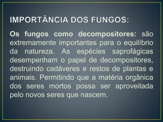 Os fungos como decompositores: são
extremamente importantes para o equilíbrio
da natureza. As espécies saprofágicas
desempenham o papel de decompositores,
destruindo cadáveres e restos de plantas e
animais. Permitindo que a matéria orgânica
dos seres mortos possa ser aproveitada
pelo novos seres que nascem.
 
