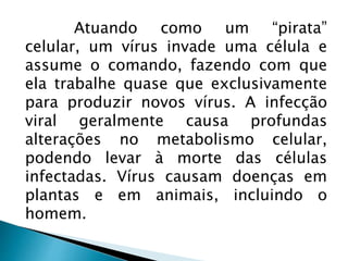 Atuando como um “pirata”
celular, um vírus invade uma célula e
assume o comando, fazendo com que
ela trabalhe quase que exclusivamente
para produzir novos vírus. A infecção
viral geralmente causa profundas
alterações no metabolismo celular,
podendo levar à morte das células
infectadas. Vírus causam doenças em
plantas e em animais, incluindo o
homem.
 