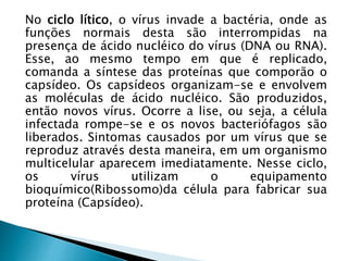 No ciclo lítico, o vírus invade a bactéria, onde as
funções normais desta são interrompidas na
presença de ácido nucléico do vírus (DNA ou RNA).
Esse, ao mesmo tempo em que é replicado,
comanda a síntese das proteínas que comporão o
capsídeo. Os capsídeos organizam-se e envolvem
as moléculas de ácido nucléico. São produzidos,
então novos vírus. Ocorre a lise, ou seja, a célula
infectada rompe-se e os novos bacteriófagos são
liberados. Sintomas causados por um vírus que se
reproduz através desta maneira, em um organismo
multicelular aparecem imediatamente. Nesse ciclo,
os vírus utilizam o equipamento
bioquímico(Ribossomo)da célula para fabricar sua
proteína (Capsídeo).
 