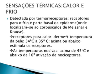 Detectada por termorreceptores: receptores
para o frio e parte basal da epiderme(onde
localizam-se ao corpúsculos de Meissner e
Krause).
receptores para calor: derme temperatura
da pele: 34ºC a 35º C: acima ou abaixo
estimula os receptores.
As temperaturas nocivas: acima de 45ºC e
abaixo de 10º ativação de nociceptores.
 
