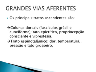  Os principais tratos ascendentes são:
Colunas dorsais (fascículos grácil e
cuneiforme): tato epicrítico, propriocepção
consciente e vibrestesia.
Trato espinotalâmico: dor, temperatura,
pressão e tato grosseiro.
 